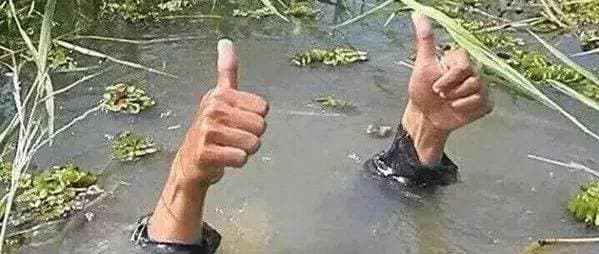 这些学校排名高，但就读体验很差！