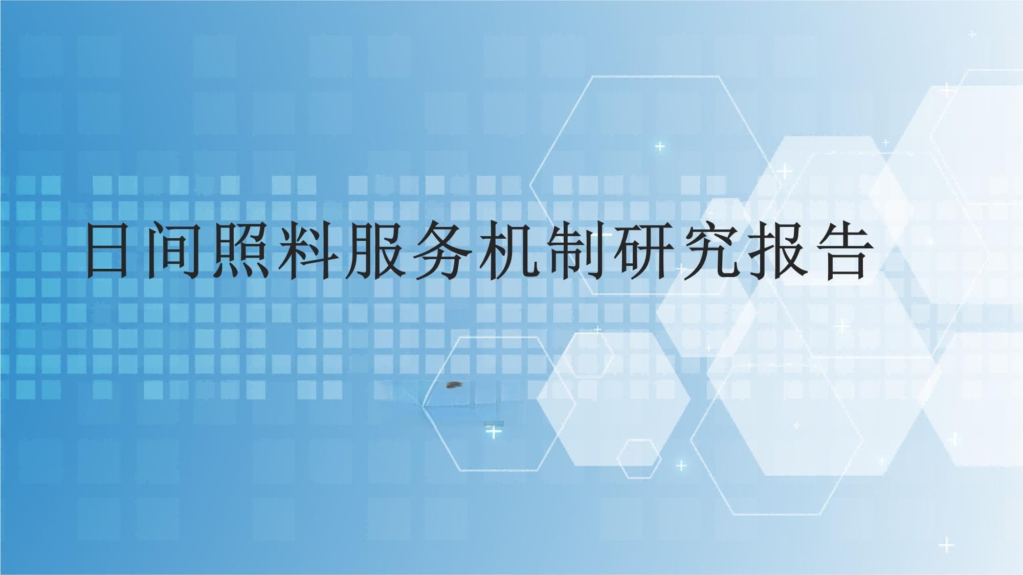 日间照料服务机制研究报告