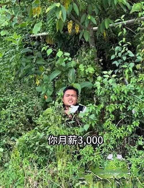 一条视频 100 万播放， 经典影视二创 Ai 对口型玩法爆火，教程攻略送给你