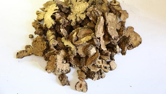 苍术的功效与作用及食用方法