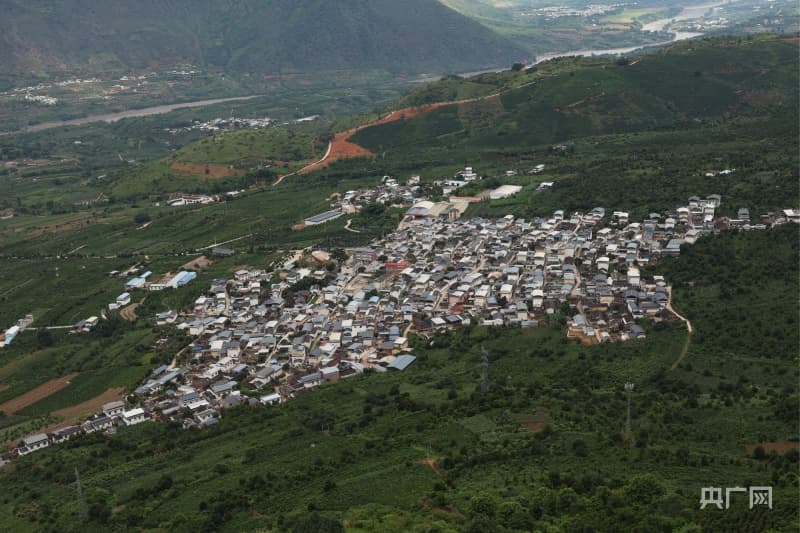 云南保山新寨村：从默默无闻到“咖啡第一村”的华丽转身