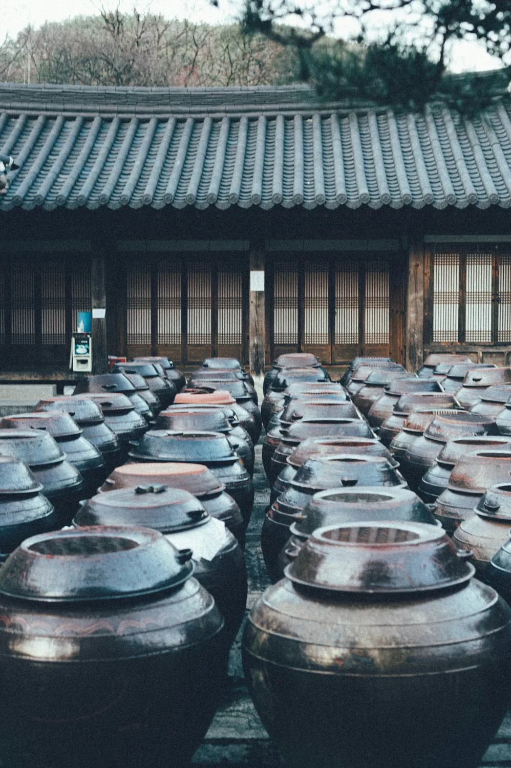 《北山酒经》揭秘宋朝黄酒酿造奥秘