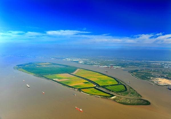 3649种！江苏泰州生物多样性最新“家底”公布