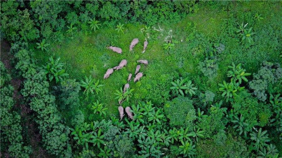 好生态，与生俱来的“标签”——聚焦“三个定位”系列之二