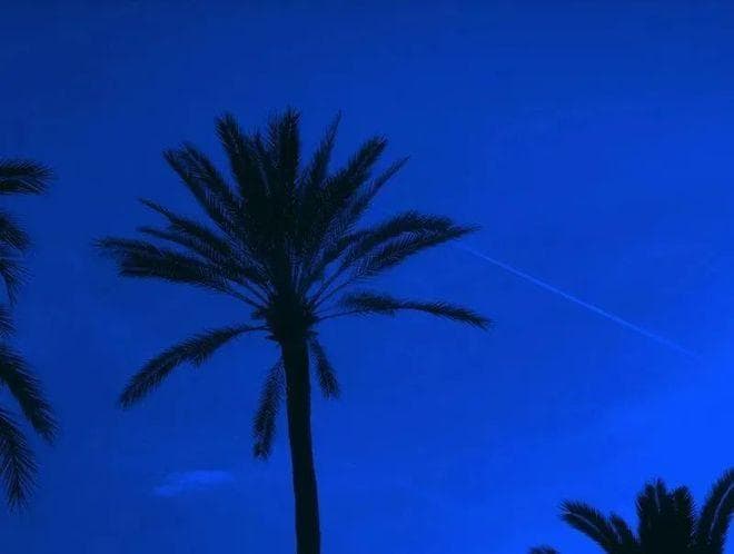 对付孤立你，不尊重你的人，别着急翻脸，这样处理才有水平