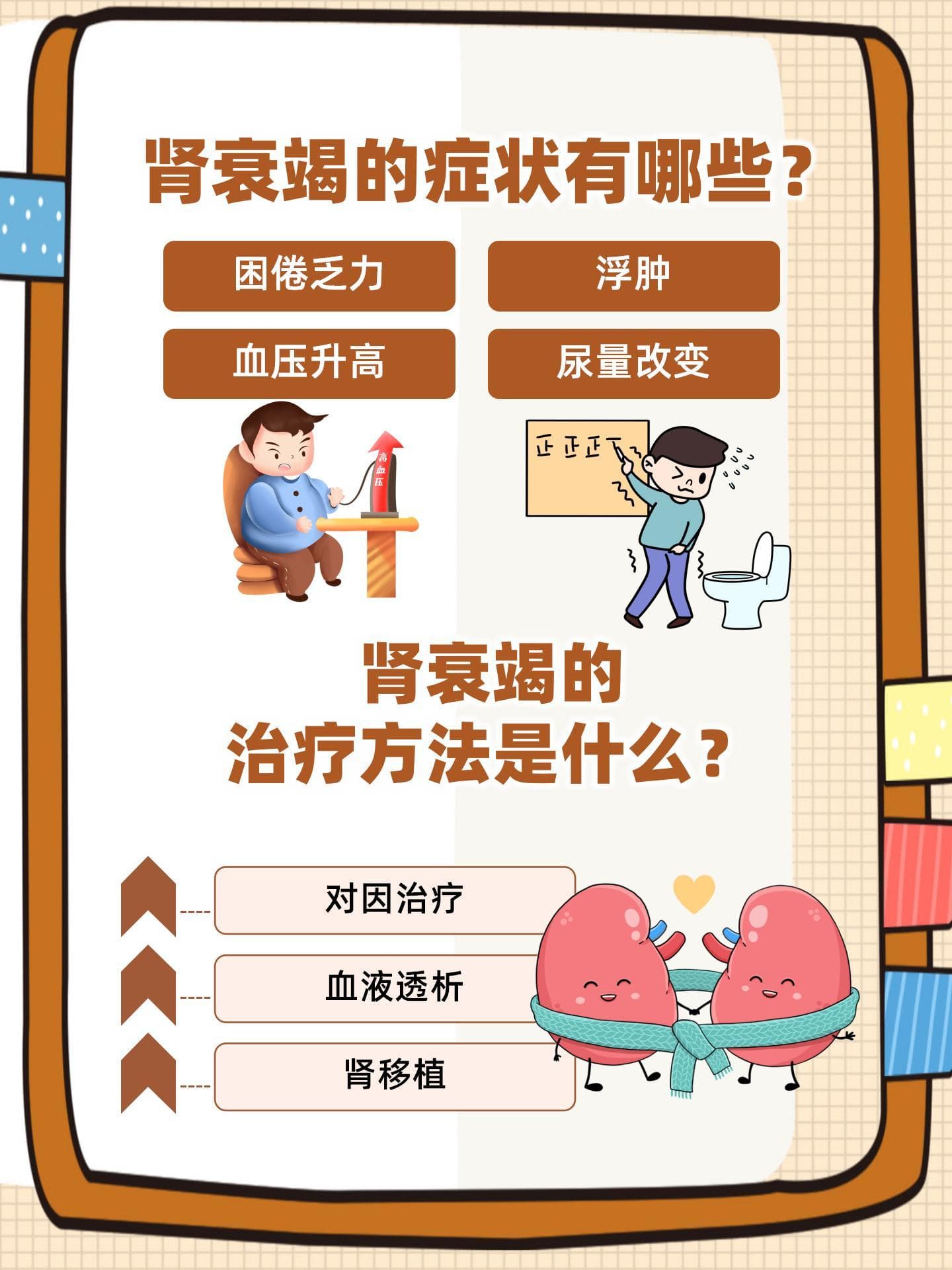 肾衰竭：症状、治疗与预防策略详解
