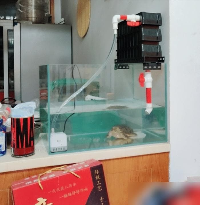鱼缸进水口和出水口的最佳位置，鱼缸进水口和出水口怎么布置好
