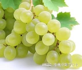 宝宝健康成长需从均衡饮食开始
