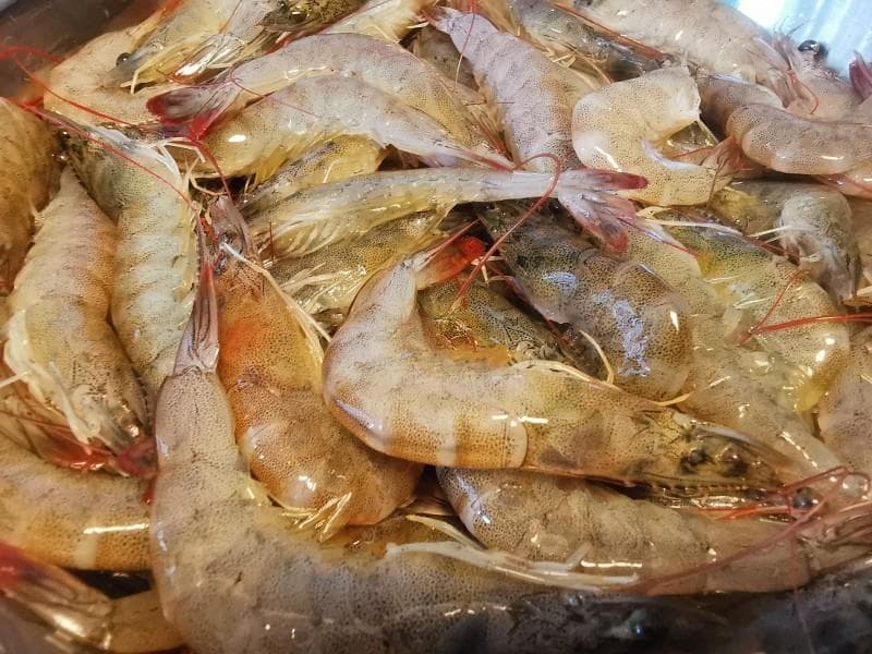 蒸虾：冷水上锅还是热水上锅？蒸制时间如何把握？