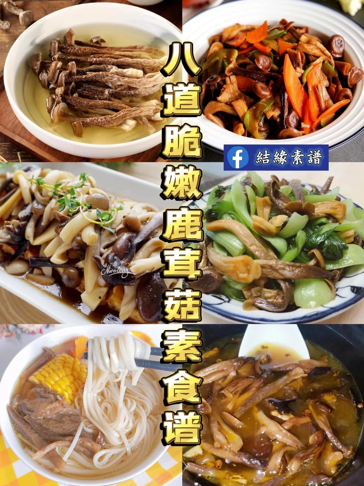 营养美味鹿茸菇：8道素食菜谱详解