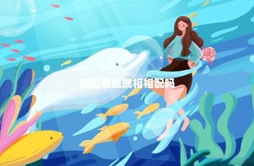 猪和老鼠属相相配吗？详解两个属相的相配度