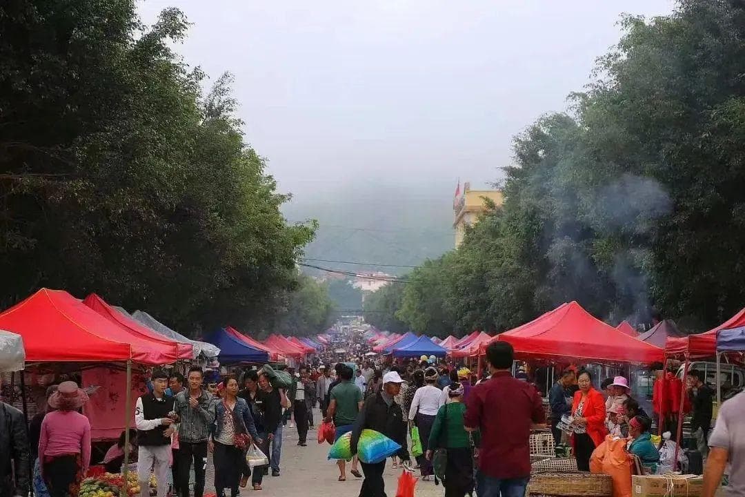 叮咚！免签速通勐海游玩攻略