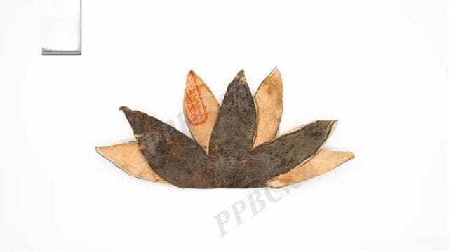 “治痰圣药”化橘红成分研究，有新进展！