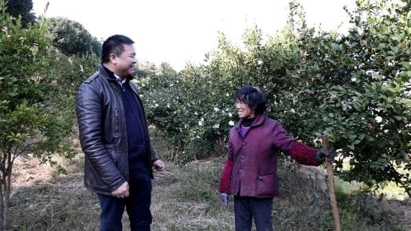 从700公顷荒山到百亿产业，吕金锋的油茶创业路