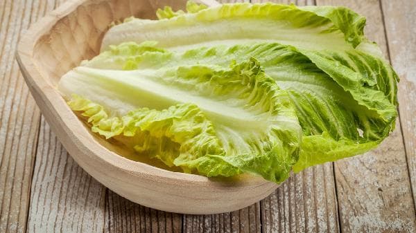 锌的主要食物来源有哪些？