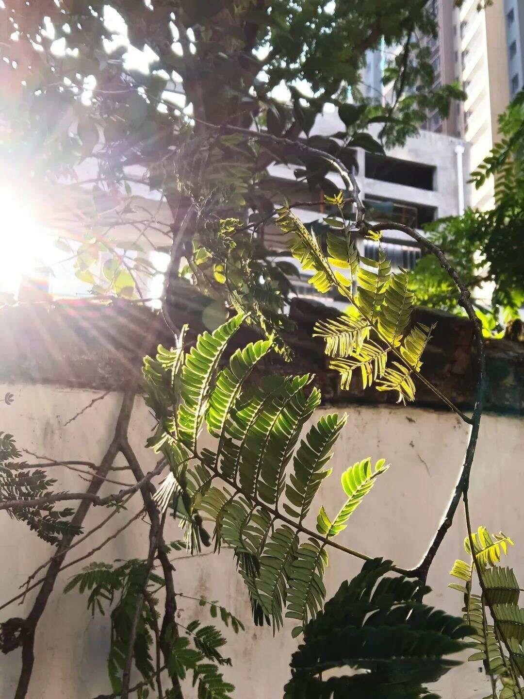 独处的快乐