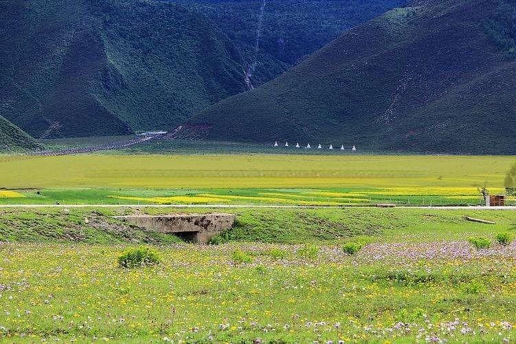 福建厦门与三明旅游攻略：景点全览与排名推荐