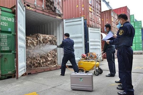 海关查验的通关策略与技巧