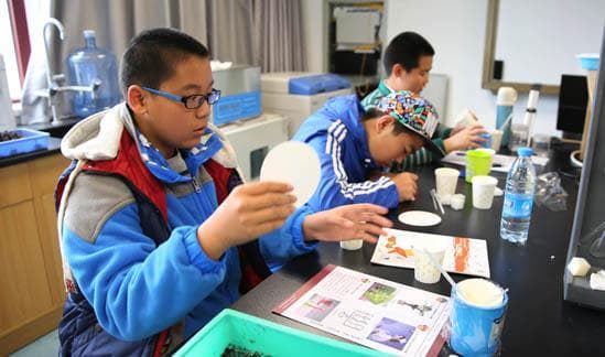 初中生高效学习指南：12个实用学习方法