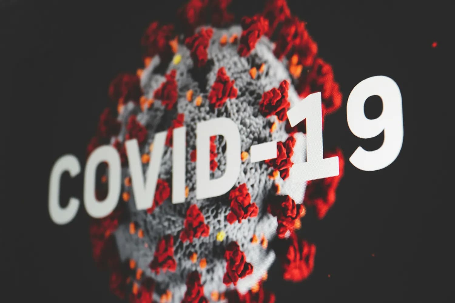 中性粒细胞在COVID-19感染中的双重角色：免疫防御与疾病进展