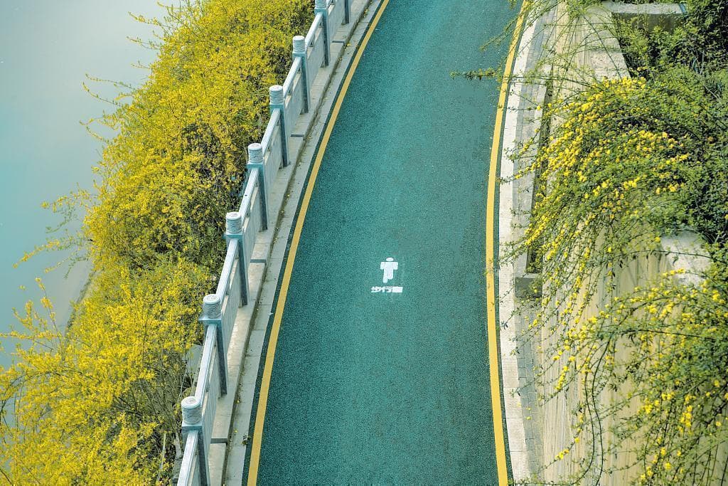 最新研究：跑步不仅治抑郁，还是多种疾病的克星