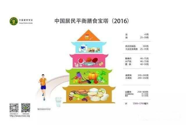 专家解读新版膳食指南：吃动平衡，保持健康体重
