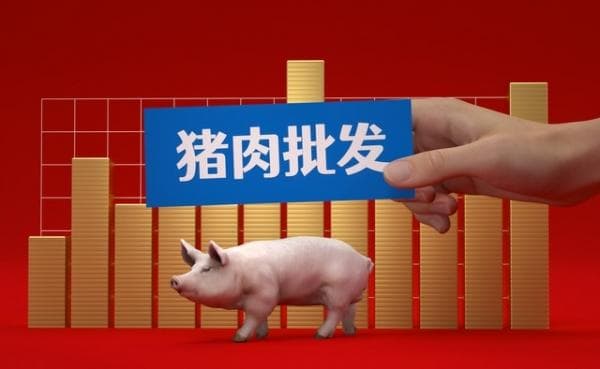 消费旺季叠加供给收缩，猪价一夜涨破16元关口