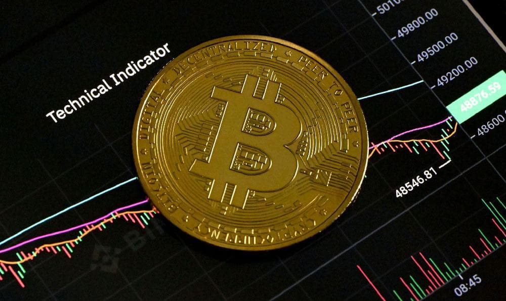 股票基本知识术语（股票基础知识50个必学术语）