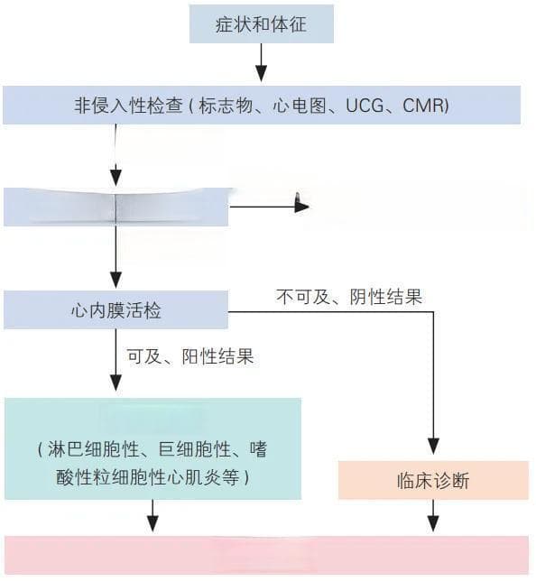 2024版心肌炎诊断指南出炉！这些要点你需要知道