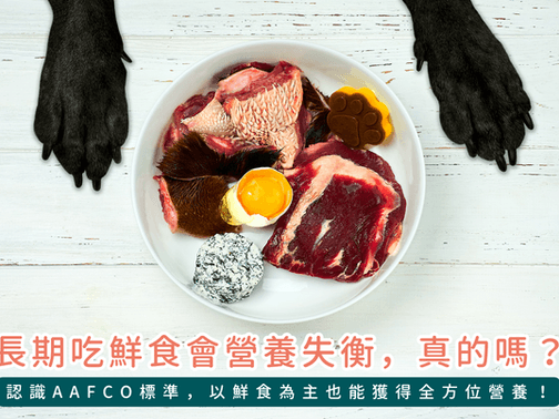狗狗护理与饮食指南：从年龄对照到健康饮食
