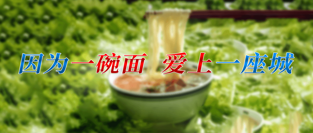 一碗面里的繁花盛景——解码兰州牛肉拉面全国版图的“三驾马车”
