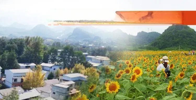 兴村共富！广西这些“新农人”凭实力破圈
