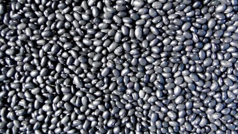 小黑豆的功效与作用、禁忌和食用方法