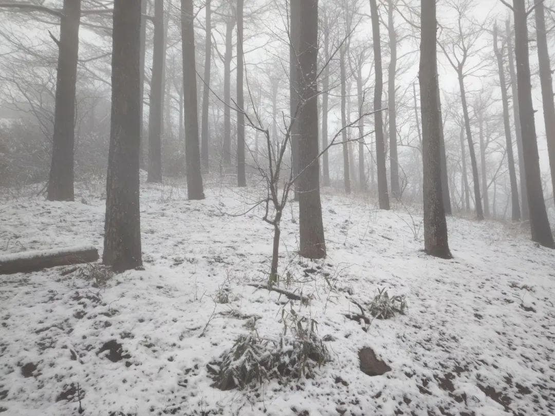 多地已积雪！刚刚确认：杭州雨雪升级！请密切关注预报