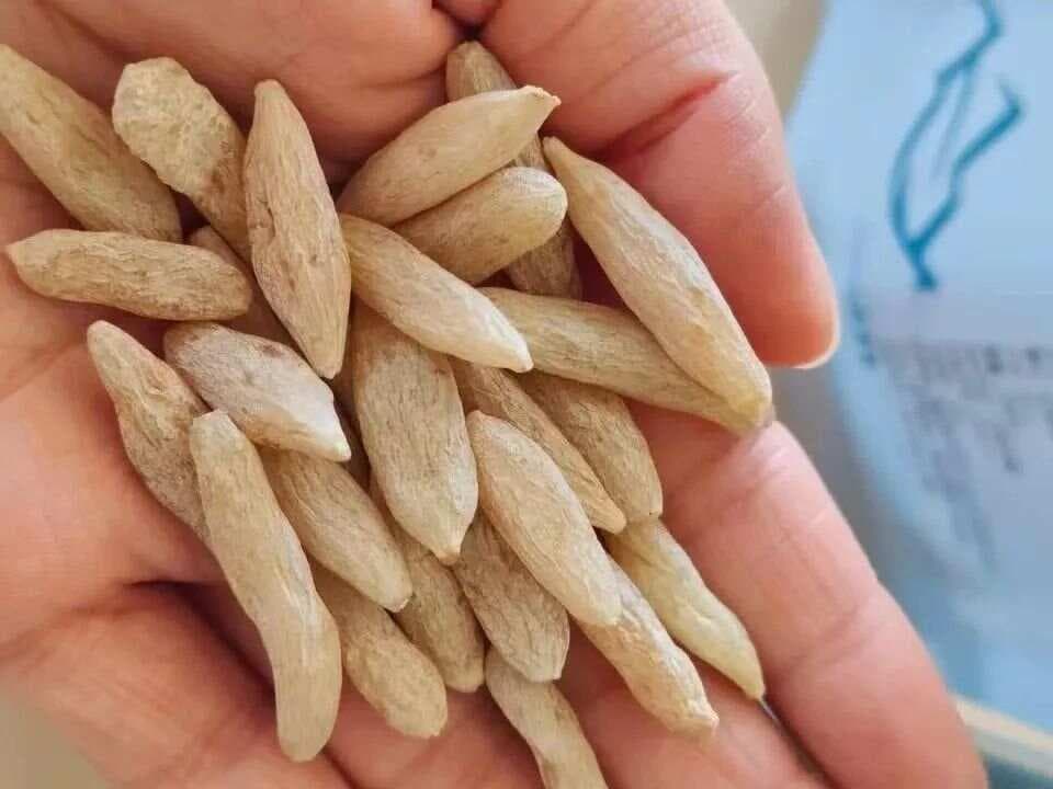 干燥综合征用药必读：羟氯喹安全使用指南 中医护身方案