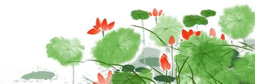 立夏养生攻略之食疗篇