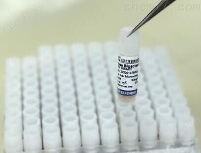 大鼠全血解锁生命密码