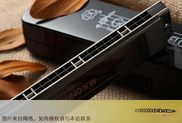 无基础最易入门十大乐器