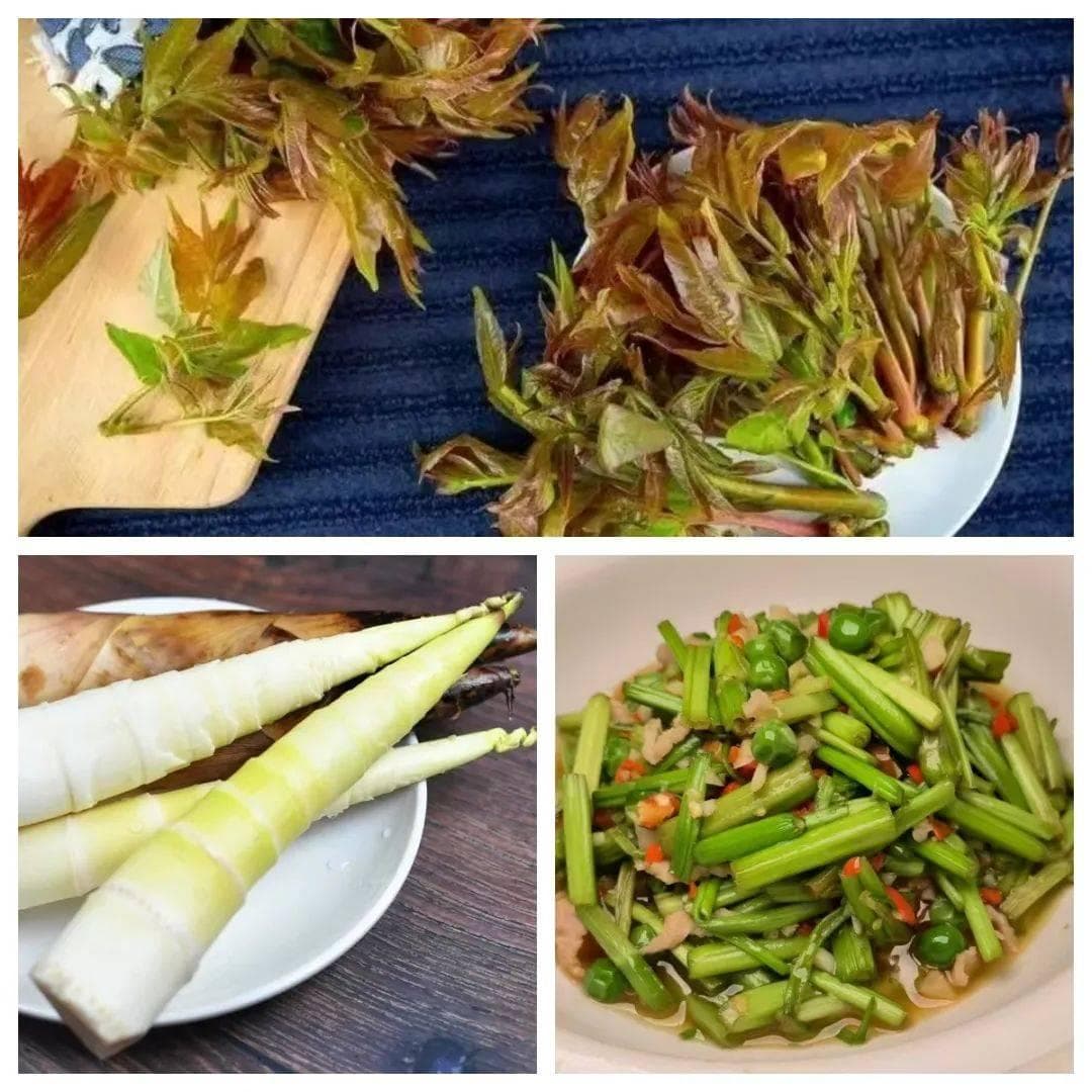 我爱湘潭我的家丨湘潭春味，鲜启新章