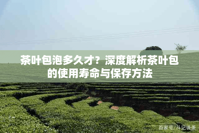 茶叶包泡多久才合适？深度解析茶叶包的使用寿命与保存方法