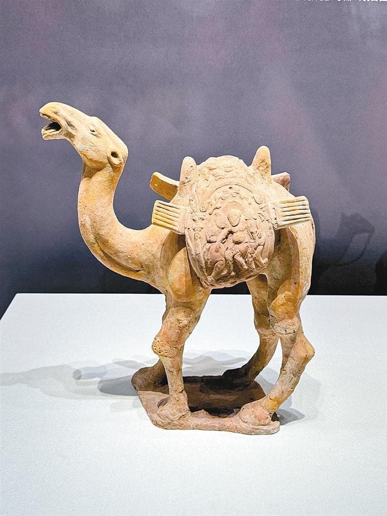 “探长安”考古成果展：280余件文物诉说千年古都文明