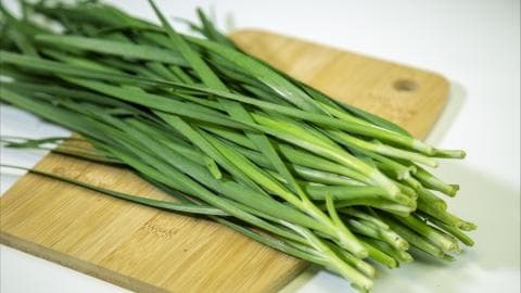 韭菜能否促进肠道健康