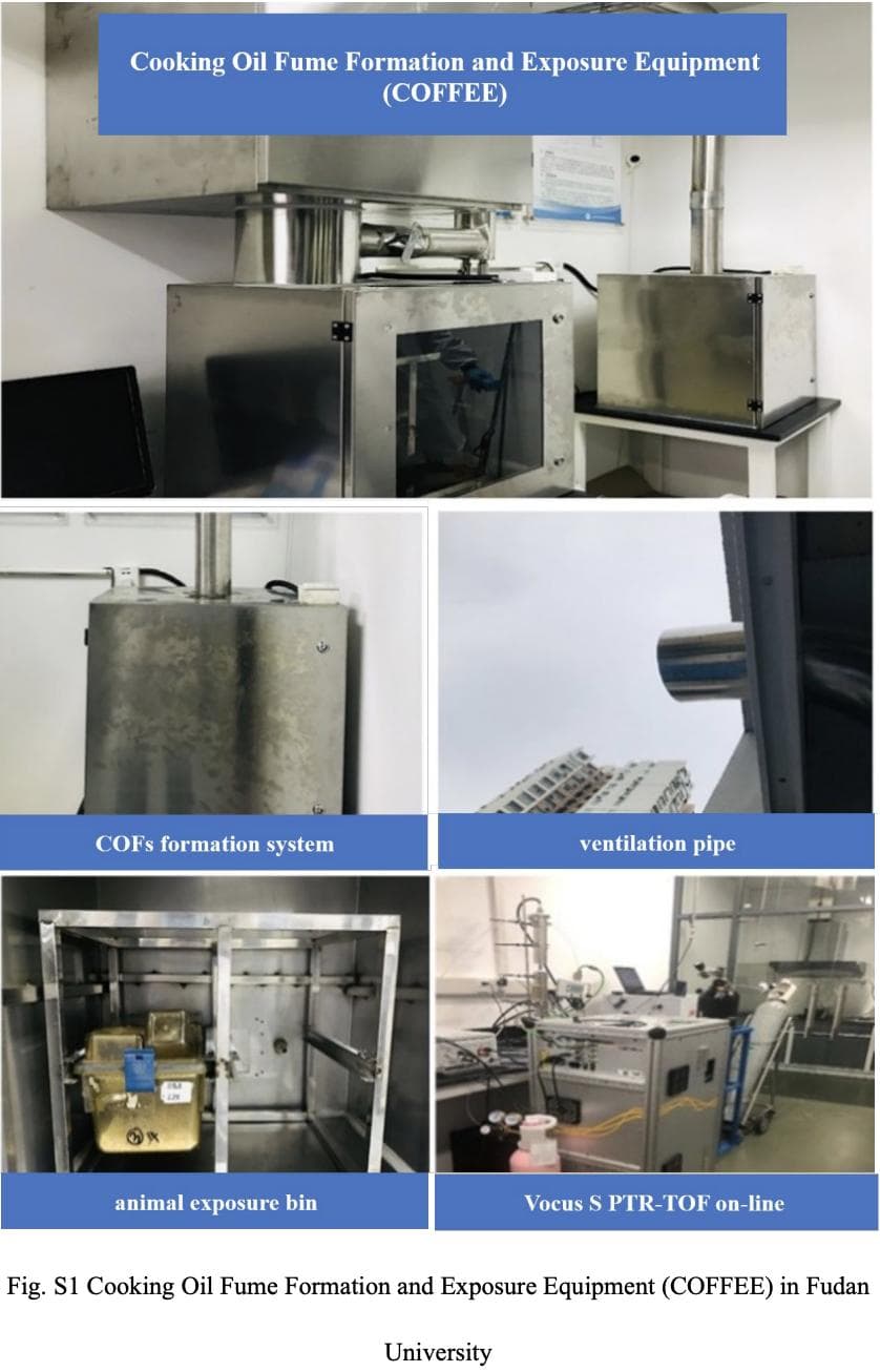 复旦大学惊人发现：仅3天的厨房烹饪油烟，就能引起肺炎和损伤肠道