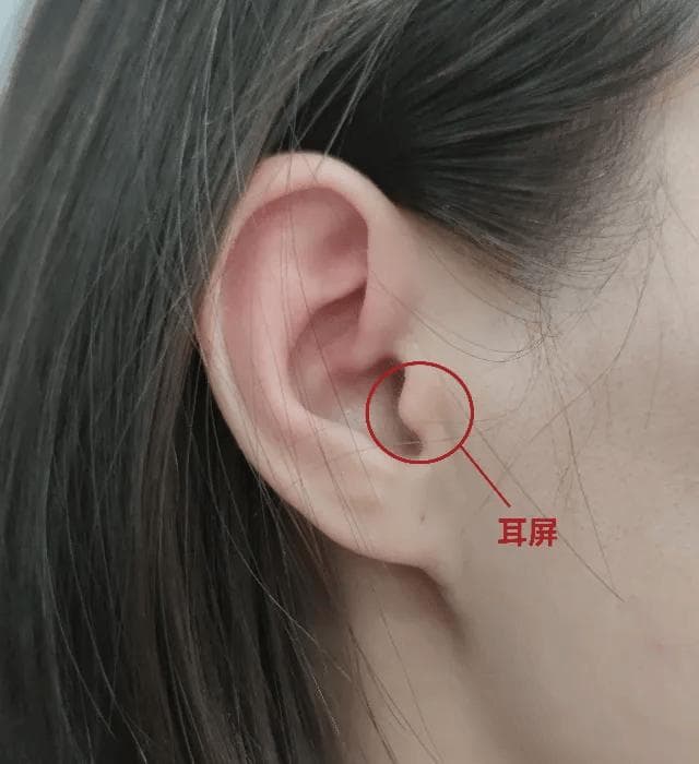 耳朵上的93个穴位：六种按摩方法助你调理全身