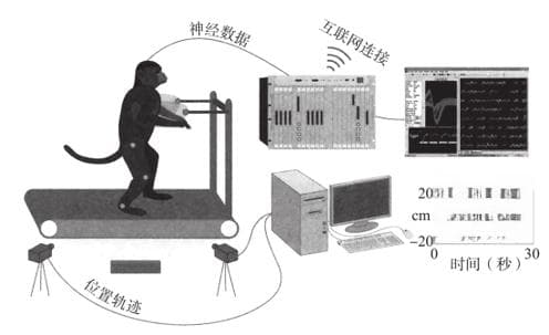 脑机接口：保护人类以抵御邪恶的人工智能？