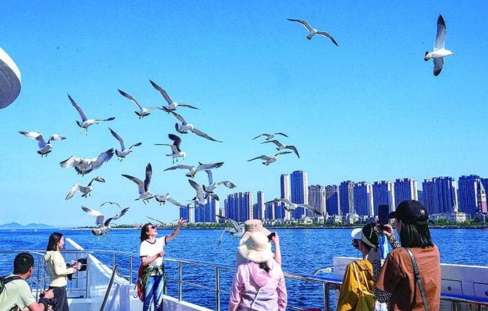 来辽东半岛，看不一样的海