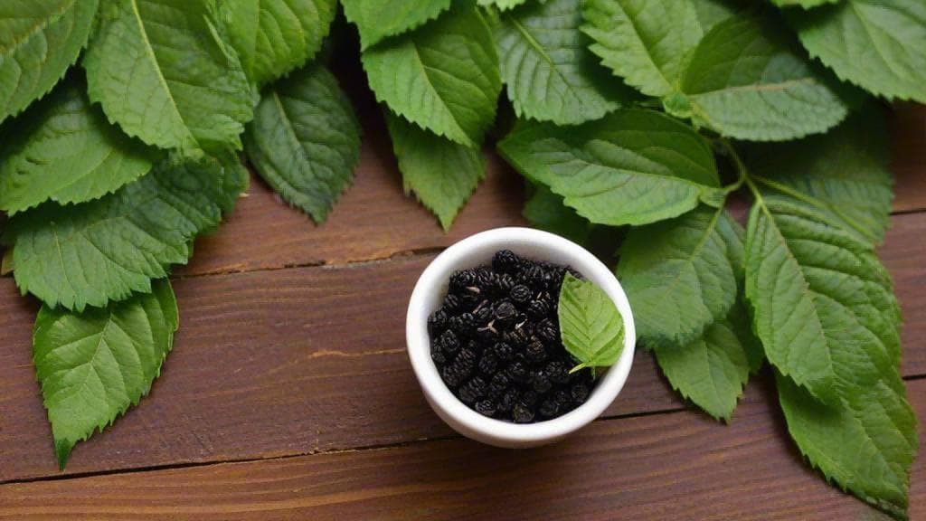 茶叶冲泡的用量和时间控制技巧
