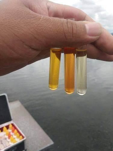 最早的净水器在秦代就出现了？如何辨别净水效果