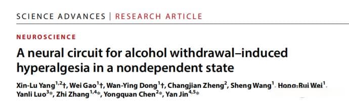 中科大张智团队揭示非依赖状态下酒精戒断引起痛觉过敏的神经回路