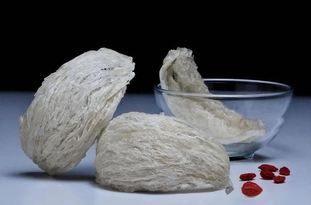 燕窝真是燕子的“口水”？，它是如何形成的？看完燕窝加工过程，你还敢吃吗？